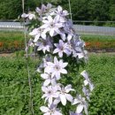 부리농장 이미지