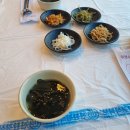 [고성]가진 이성업 부부횟집, 내돈내산 솔직후기