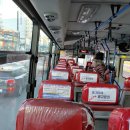 세운버스 이미지