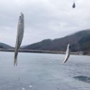 월정포인트 이미지