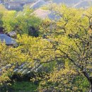 순천산식 이미지