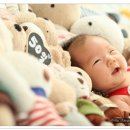 토마스튜디오 이미지