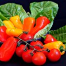 대안농장 이미지