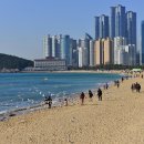 해운대 이미지