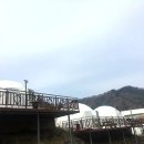 하얀돔펜션 티스토리