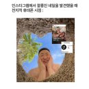 네일푸르미르