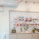 민's 펫살롱 이미지