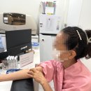 인더핑크의원 이미지