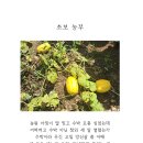김명수농장 Daum카페
