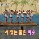 더메밀(The 메밀) 이미지