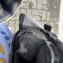 대전본동물병원