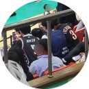 군산월명체육관 | KBL 컵대회 군산월명체육관 부산KCC vs 울산현대모비스 결승 직관 후기