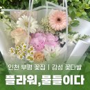 플라워물들이다 이미지