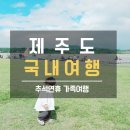 블루마린펜션민박 | 3박 4일 제주도여행 (feat.시댁식구들)