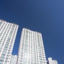 독도부동산 이미지