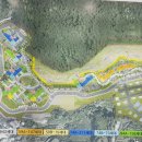 숲속의아침 이미지