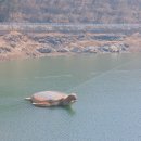 미소마을 태양광발전소2 | 가평 호명호수 공원 둘레길 산책 가능 시기 버스시간표 요금 총정리