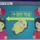 대리모가 자신이 대리출산한 자녀를 상대로 친생자관계존재확인을 구하는 사건 이미지