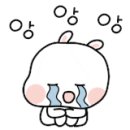 지니의정원