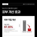 폴스킨