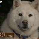 짬뽕지존 청계점 | 의왕 청계 맛집 짬뽕지존 청계점, 주차 편하고 짬짜면 대박인 곳 (밥까지 클리어!)