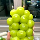 달쥬마켓