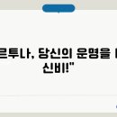 포르투나 티스토리