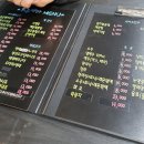 아구랑 뽈이랑 이미지
