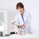 김해동물병원 이미지