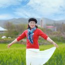 합도초교 이미지