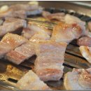 고바우 생고기 Daum카페