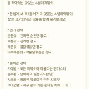 스텔라떡볶이인천루원시티점