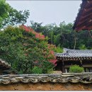 용평동 용호정 네이버블로그