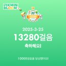 서운점 기아오토큐 | 25년 3월 마지막 주 일상 / 나의 생일 주간! 맛있는거 많이 먹고 행복했던 일주일