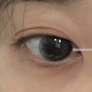 떡볶이 퍼주는 판다 이미지