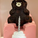 논현1-112 | 신논현 카페 추천 | 신논현역 귀여운 테디베어 케이크 포장 후기