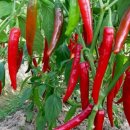 구월3동-10 이미지