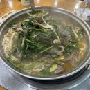 은행나무흑염소 이미지