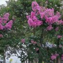 범어근린공원 이미지