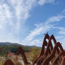 백두산야초