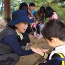 시립배곧호반2차어린이집 이미지