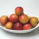 대석농장 이미지