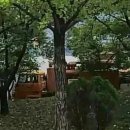 육사공 | 대우 이스즈 대형 트럭 (2세대/V365T)