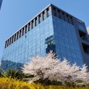 한국니토옵티칼 주식회사 | 취준일기 7 디스코하이테크코리아 1차 탈락, 레이저텍, 히타치하이테크코리아, 한국니토옵티칼 최종 탈락