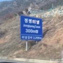 스테이 베프 | 2026년 멜희 일상 + 생일, 시그니엘 서울 더 라운지 애프터눈티