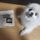 더펫레시피 네이버블로그