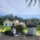 강림민박 | 강림서길384 강원도팬션