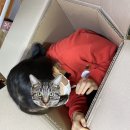 와따통닭우아점 | 2020도 끄읕!̊̈ !̊̈ !̊̈ 12월 일상