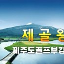 (주)곰투어
