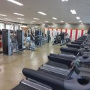 육체미 휘트니스 이미지